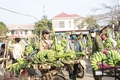 Chung sức thực hiện thắng lợi nhiệm vụ phát triển kinh tế - xã hội ở thị xã Quảng Trị
