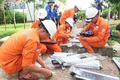 Nhiều hoạt động “Tri ân khách hàng” của PC Quảng Trị trong dịp Tết