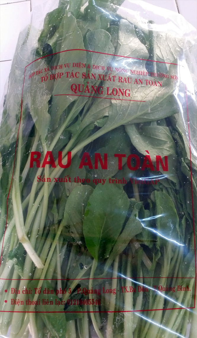 Rau cải ngọt được chứng nhận RAT theo tiêu chuẩn VietGAP đã đến tay người tiêu dùng.