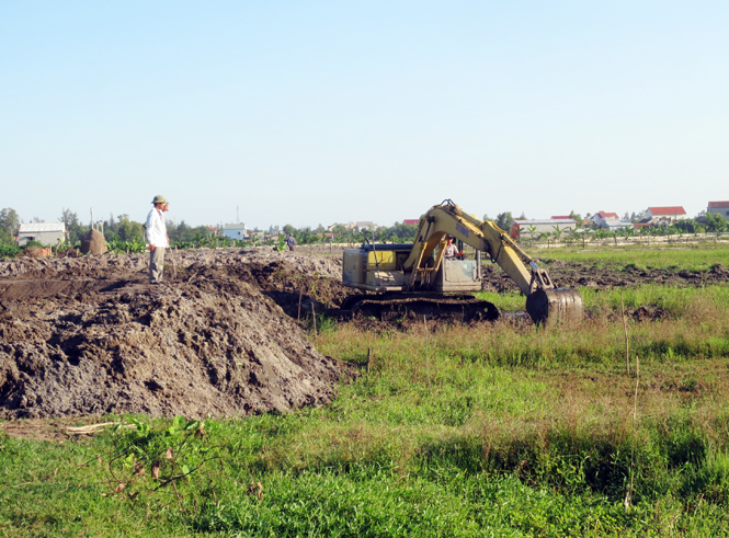 Không khí sản xuất rộn rã trên cánh đồng Bồ.