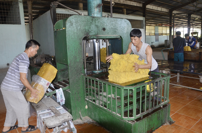 Đầu tư dây chuyền chế biến mủ cao su công suất 3.000 tấn/năm.