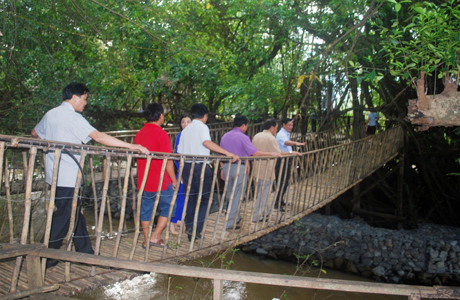 Ảnh 6 : Khu du lịch cầu treo (Đắk Lắk).