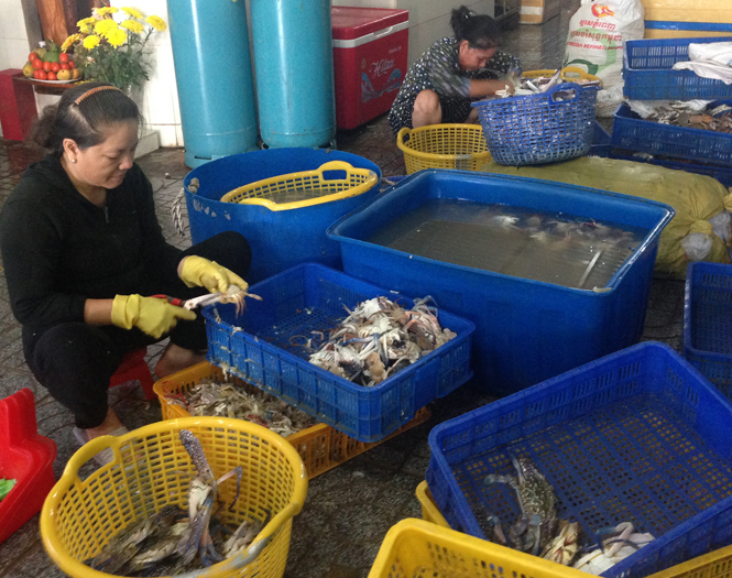  Cơ sở chế biến hải sản Linh Phong, Bố Trạch được Qũy tín dụng hỗ trợ vốn