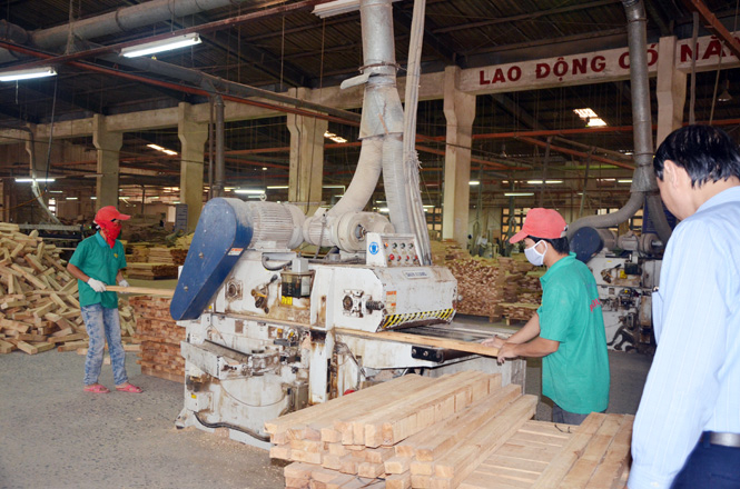 Xí nghiệp chế biến gỗ Phú Quý đầu tư công nghệ tiên tiến trong sản xuất.