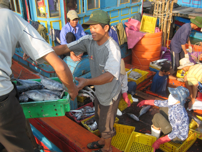 Những chuyến biển bội thu.