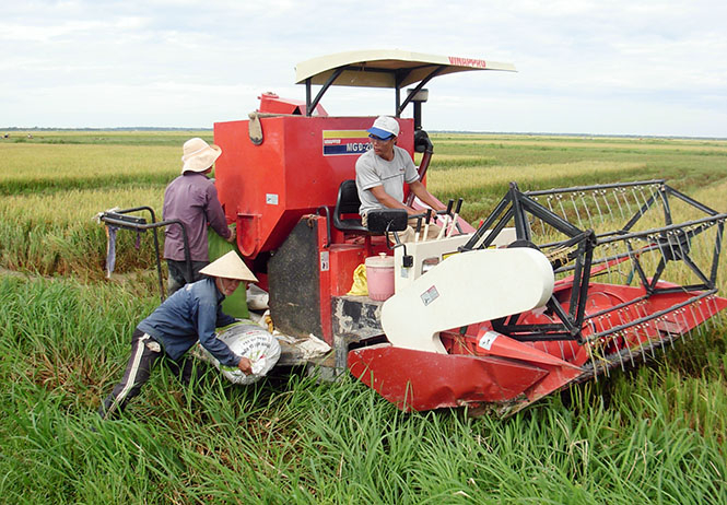  Các HTX dịch vụ nông nghiệp từng bước thể hiện được vai trò hỗ trợ cho xã viên trong sản xuất.