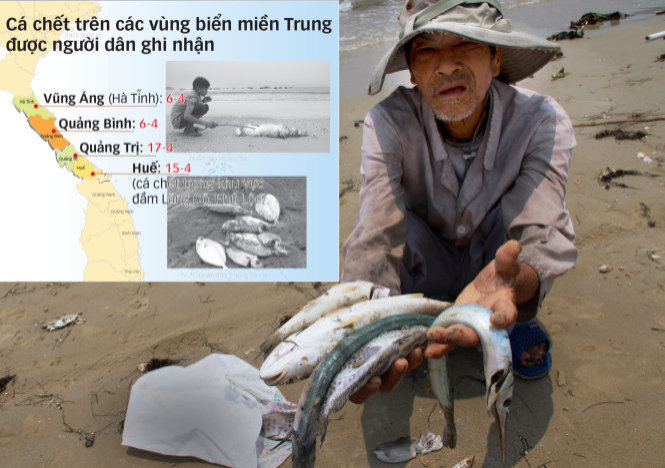  Một người dân bên đống cá biển chết dạt vào bờ miền Trung - Tư liệu Tuổi Trẻ