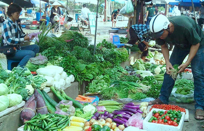 Nhiều loại rau bán ra thị trường không tạo được sự yên tâm cho người sử dụng.