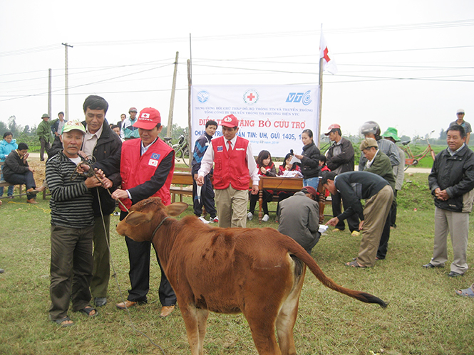 Chương trình “Ngân hàng bò” đã góp phần không nhỏ trong công tác xóa đói, giảm nghèo ở tỉnh ta.