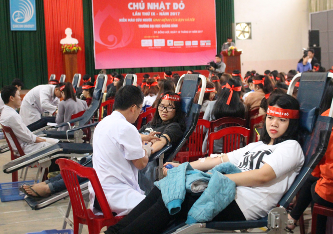 Tuổi trẻ Quảng Bình tham gia HMTN