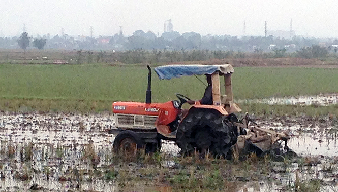 Tranh thủ làm đất vụ hè-thu ở Bố Trạch.