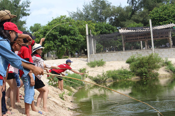 Trải nghiệm tại nông trại ở xã Hải Ninh