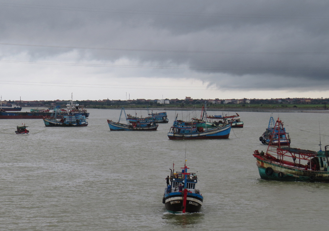 Tàu thuyền vào tránh bão