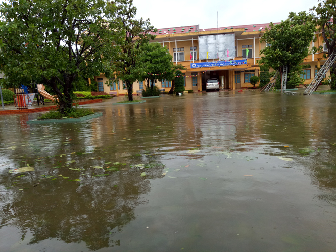 Sân Trường tiểu học Đồng Phú ngập sâu trong nước.