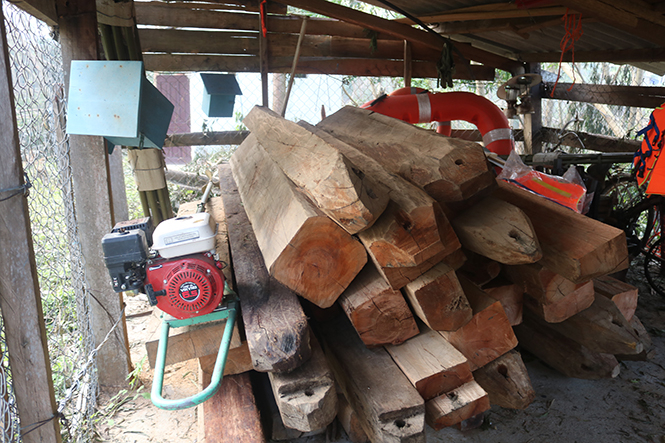 Gỗ lậu bị tịch thu tại địa bàn xã Cao Quảng, huyện Tuyên Hoá.