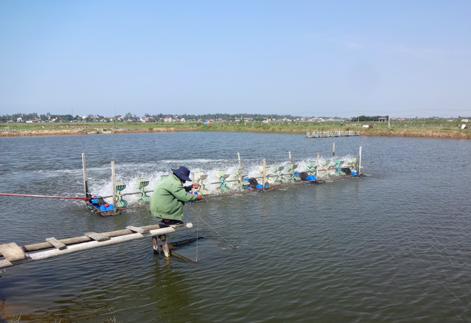 Trên địa bàn huyện Bố Trạch gày càng xuất hiện nhiều tấm gương CCB gương mẫu làm kinh tế giỏi.