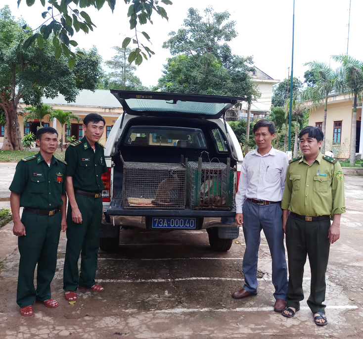 Đồn Biên phòng Cà Roòng chuyển giao 6 cá thể động vật cho Trung tâm cứu hộ, bảo tồn và phát triển sinh vật