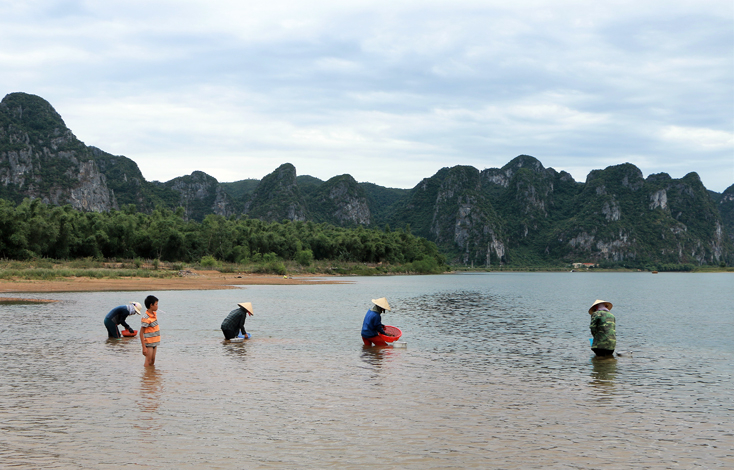 Những con hến, con chắt chắt bé nhỏ là kế sinh nhai của nhiều người dân ven sông Gianh.