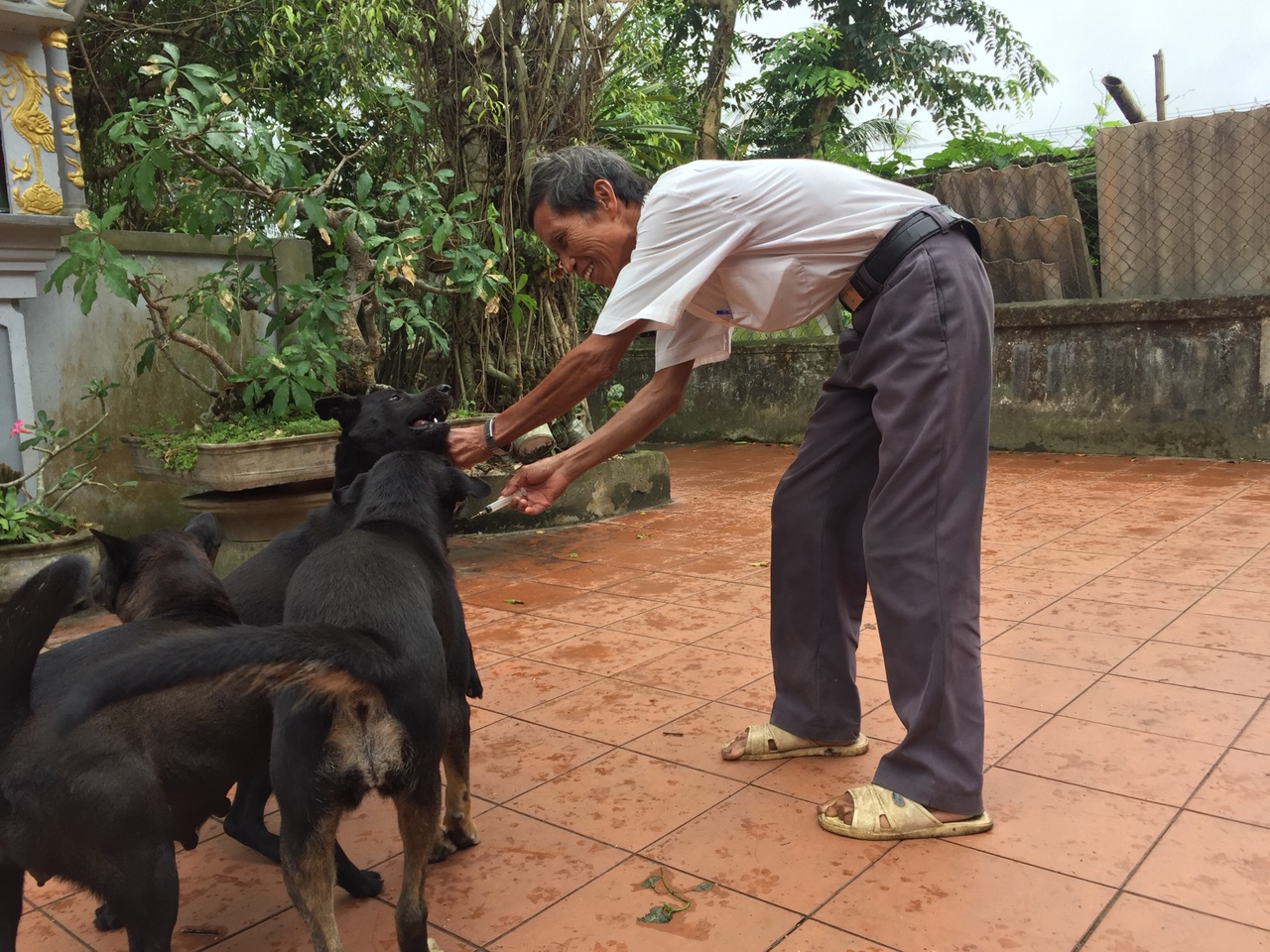 Ông Dương Công Nghiếc, Trưởng ban thú y xã Tân Thủy (Lệ Thủy).