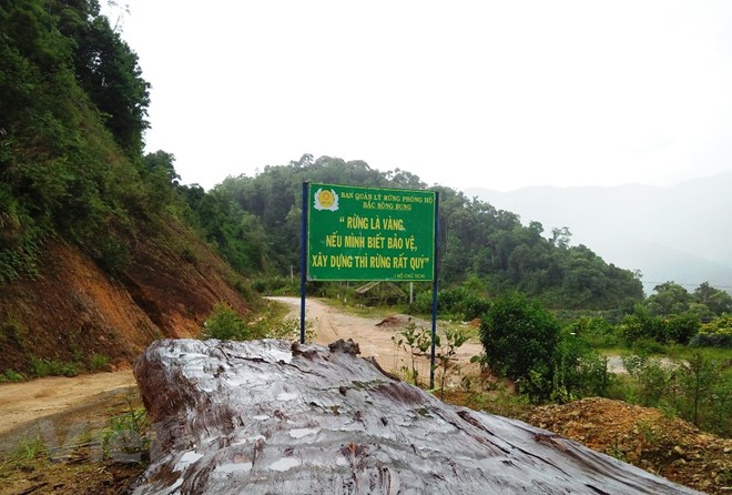 Ảnh chỉ có tính chất minh hoa. (Nguồn: Hùng Võ/Vietnam+)