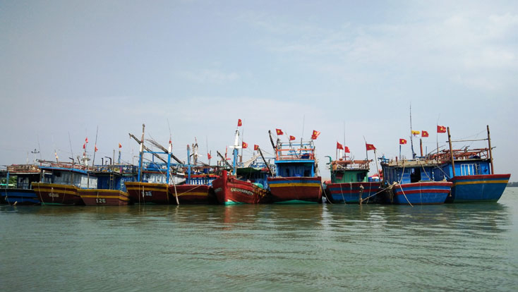sản lượng hải sản toàn tỉnh tăng trội so với cùng kỳ