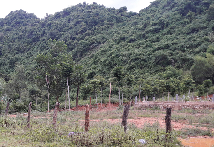 Công tác tham mưu quản lý nhà nước về lĩnh vực đất đai tại xã Phúc Trạch có nhiều sai phạm gây dư luận không tốt trong nhân dân.
