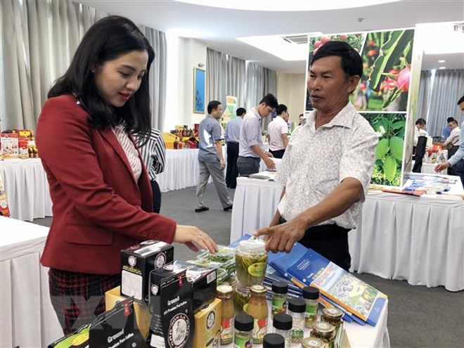 Doanh nghiệp, hợp tác xã giới thiệu hàng hóa đa dạng của địa phương. (Ảnh: Mỹ Phương/TTXVN)