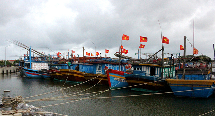 Nhiều tàu đánh bắt xa bờ đóng mới theo Nghị định 67 của ngư dân Quảng Trạch hoạt động kém hiệu quả.
