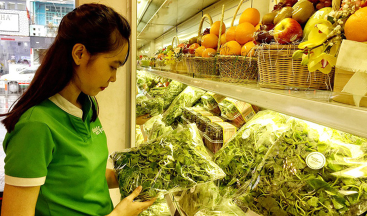  Rau má có công dụng chữa bệnh rất tốt - Ảnh: Duyên Phan