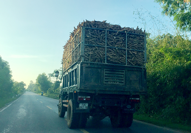 Tình trạng xe ô tô chở vượt quá tải trộng vẫn diễn ra (ảnh chụp trên đường Hồ Chí Minh, đoạn qua thị trấn Nông trường Việt Trung, Bố Trạch).