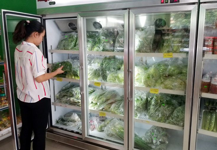 Sản phẩm rau sạch của Công ty Đông Dương được sản xuất và bảo quản đúng quy trình nông nghiệp sạch, nông nghiệp hữu cơ.