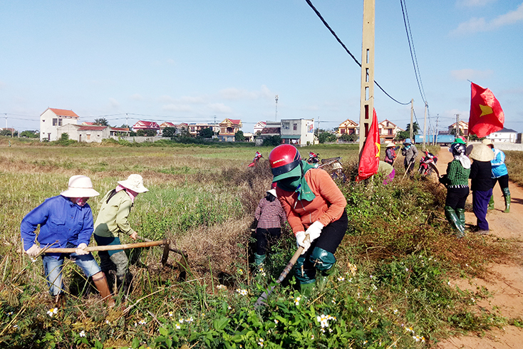 Nông dân Bố Trạch tích cực phát quang cây cỏ, vệ sinh đồng ruộng.