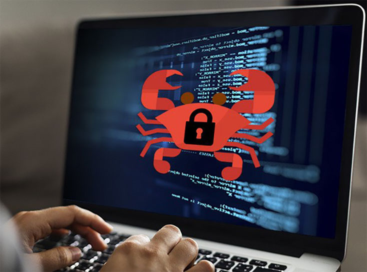  Mã độc tống tiền GandCrab đang nhắm đến người dùng Việt Nam. - Ảnh: BKAV