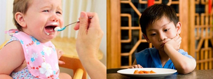 Để khắc phục được tình trạng biếng ăn của trẻ trước hết phải biết một số nguyên nhân làm cho trẻ biếng ăn.
