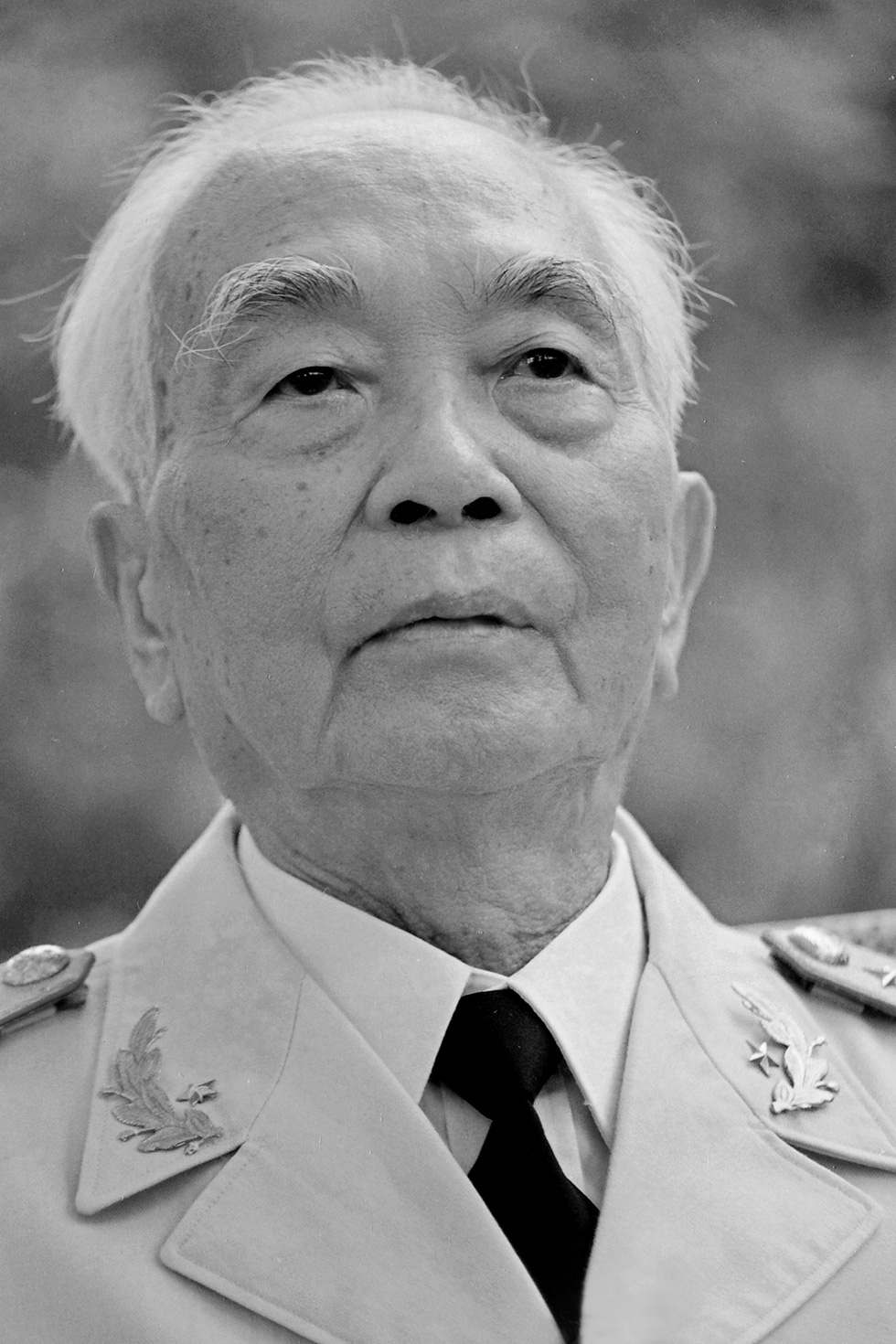 Chân dung đại tướng Võ Nguyên Giáp - Ảnh: NGUYỄN ĐÌNH TOÁN
