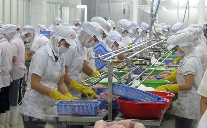 Chế biến thủy sản xuất khẩu tại Khu Công nghiệp Mỹ Tho. (Ảnh: Minh Trí/TTXVN)