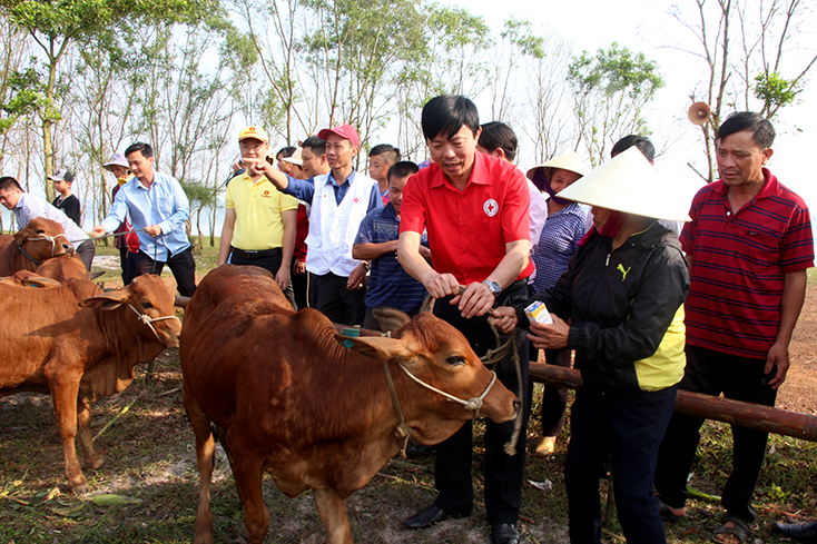 “Dự án ngân hàng bò” đã hỗ trợ sinh kế, góp phần giúp các hộ nghèo phát triển kinh tế, xóa đói giảm nghèo. 