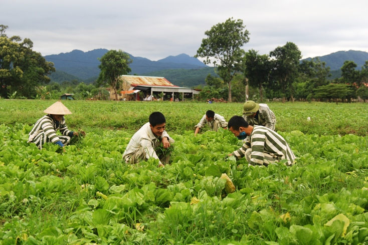 Nhờ lao động, học nghề, các phạm nhân dần quên đi nỗi buồn, sự chán nản, hy vọng sớm được về đoàn tụ với gia đình.