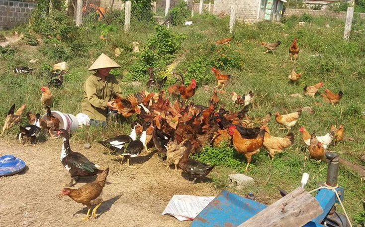 Ngày càng xuất hiện nhiều hội viên phụ nữ vượt khó làm kinh tế giỏi.