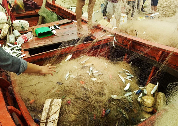 Nhiều ngư dân trúng luồng cá trích lớn trong chuyến biển đầu năm. 