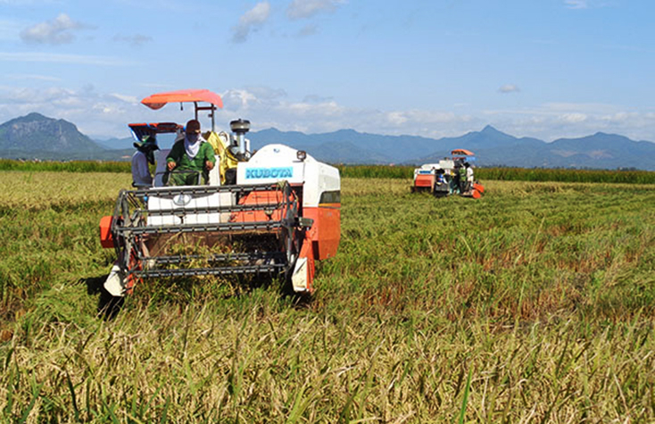 Năm 2018, 16/17 chỉ tiêu kinh tế-xã hội của huyện Quảng Ninh đạt và vượt kế hoạch đề ra. 