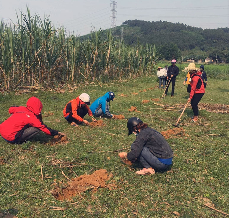 Đoàn viên thanh niên trồng 300 cây keo tại khu vực miếu cổ xã Trường Xuân, huyện Quảng Ninh.
