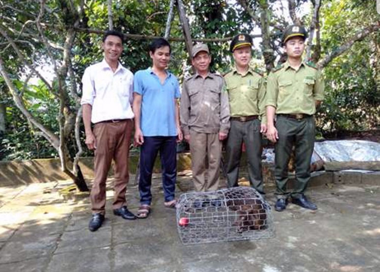 Người dân giao nộp cá thể khỉ mặt đỏ cho Trung tâm Trung tâm Cứu hộ, bảo tồn và Phát triển sinh vật (BQL Vườn Quốc gia Phong Nha-Kẻ Bàng).
