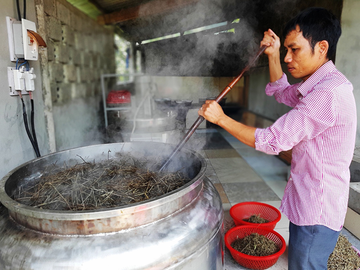 Anh Nguyễn Thanh Bình đang nấu một mẻ cao cà gai leo.   