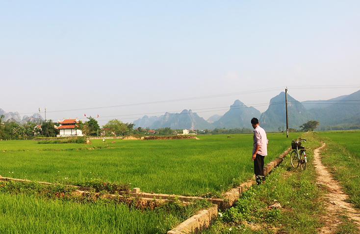Hệ thống giao thông nội đồng và kênh mương thủy lợi ở thôn Uyên Phong được quy hoạch lại hợp lý hơn nhằm phục vụ cho quá trình sản xuất .   