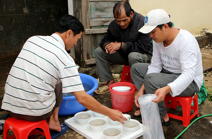 Người nuôi tôm trong tỉnh đã quan tâm đến việc lựa chọn tôm giống có nguồn gốc do Trung tâm Giống Thủy sản cung cấp. 