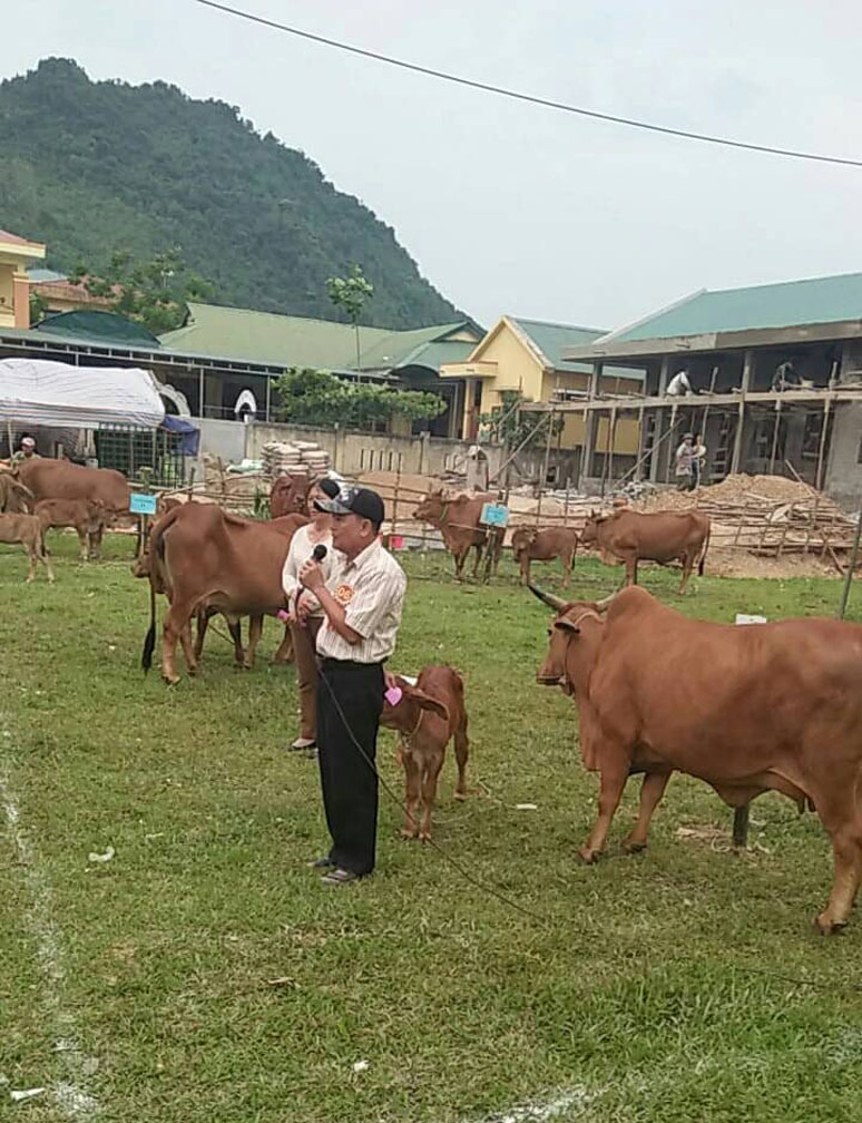 Cấc hội viên tham gia thi phần lý thuyết tại hội thi