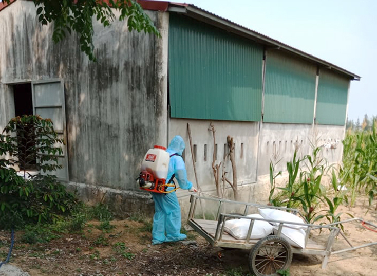 Phun hóa chất tiêu độc, khử trùng tại các địa bàn có vật nuôi bị bệnh.