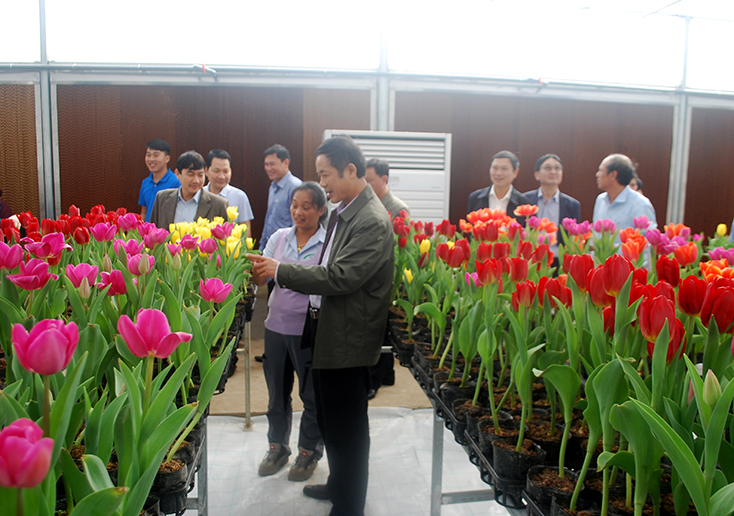 Đồng chí Chủ tịch UBND tỉnh Trần Công Thuật tham quan vườn hoa tại nhà máy.