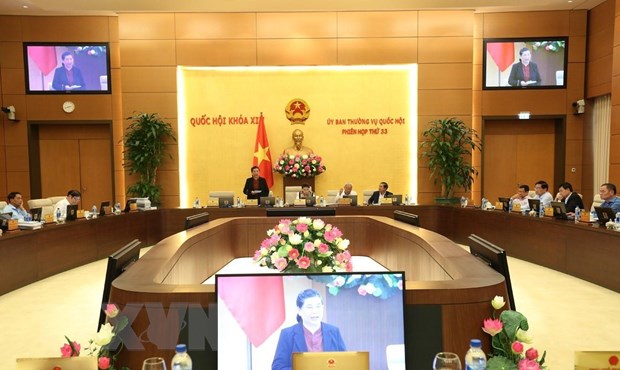 Phó Chủ tịch Thường trực Quốc hội Tòng Thị Phóng phát biểu ý kiến thảo luận. (Ảnh: Dương Giang/TTXVN)